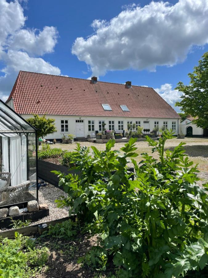 Appartement Landligt Ophold Pa Midtgard à Vamdrup Extérieur photo
