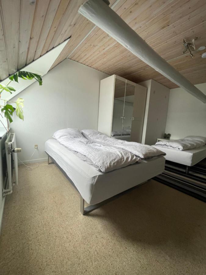 Appartement Landligt Ophold Pa Midtgard à Vamdrup Extérieur photo